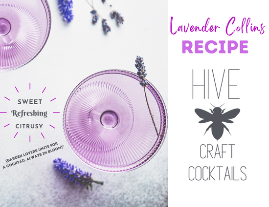 Savor the Soothe: Hive Craft Cocktails Lavender Collins